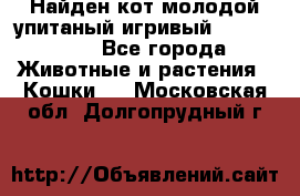 Найден кот,молодой упитаный игривый 12.03.2017 - Все города Животные и растения » Кошки   . Московская обл.,Долгопрудный г.